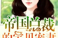 帝国总裁的宝贝宠妻免费阅读,甜蜜蜜宠溺之旅